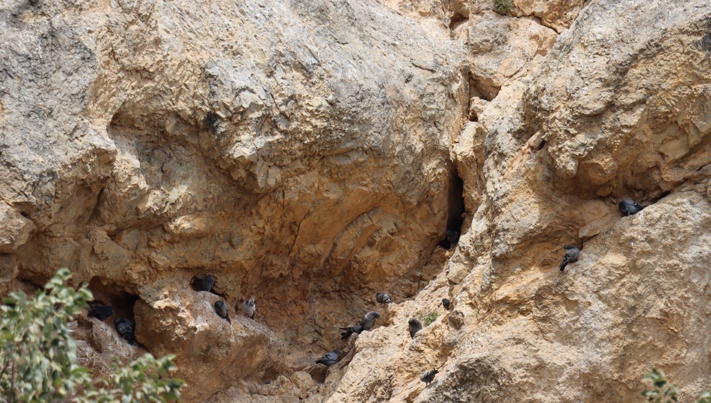 paquete turistico Irán: Un Viaje en el Tiempo